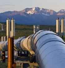 1720054766382891.jpg 111.jpg